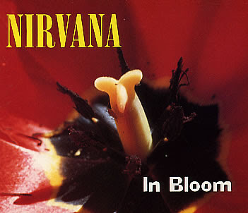 In Bloom Nirvana