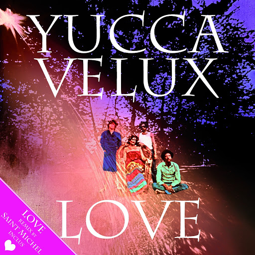 Love Yucca Velux