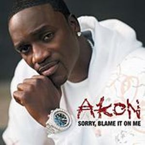 Sorry, Blame It On Me Akon